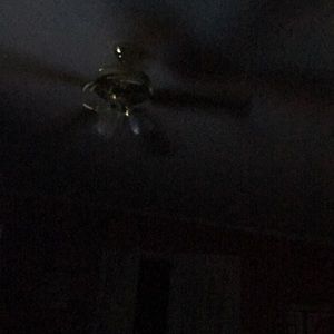 Meet your Posher, Alan